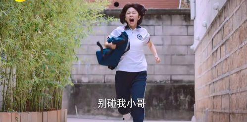 国产高中生,国产高中生风采录